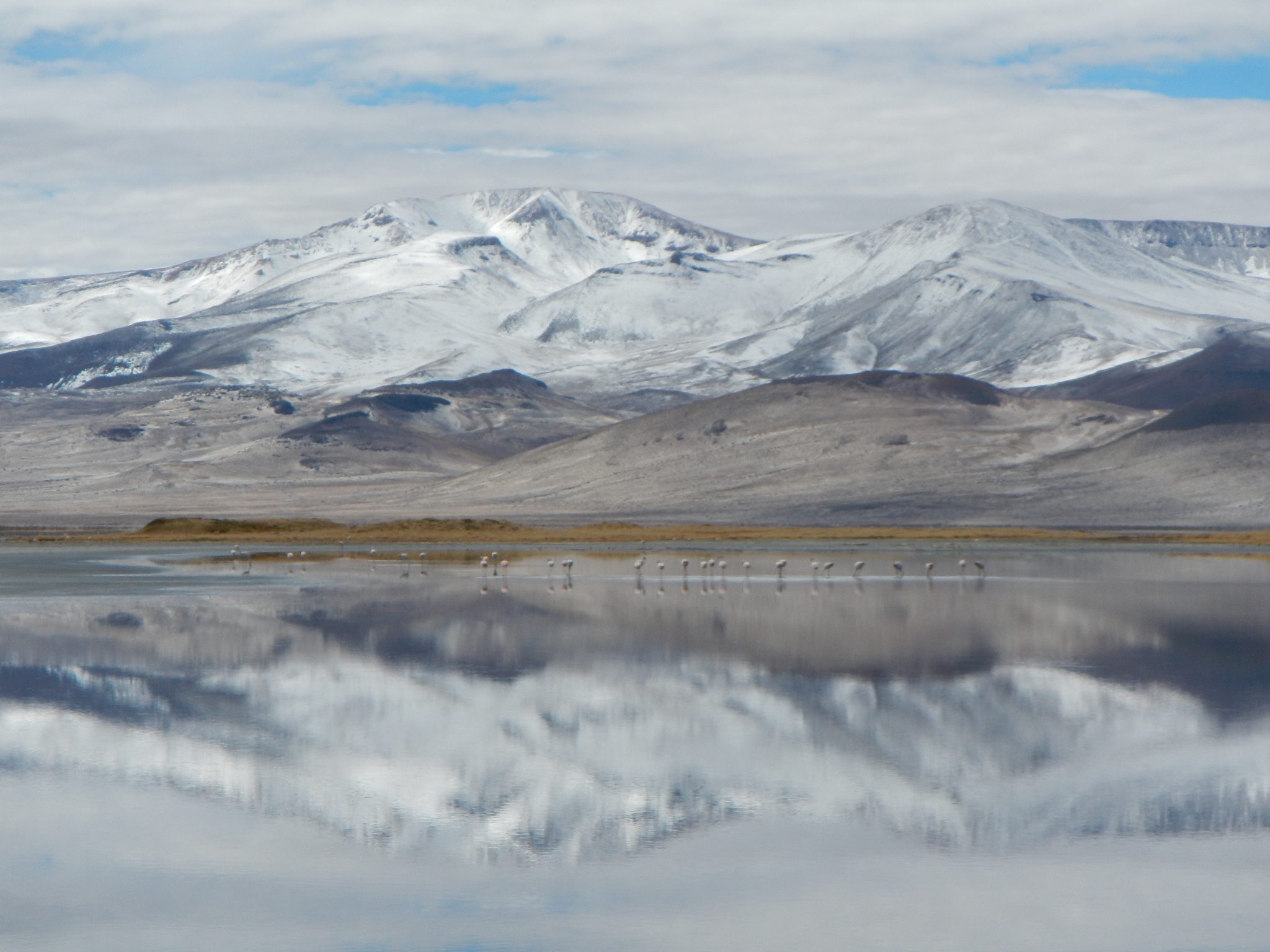 Lugares Turísticos salar del huasco, región de tarapacá
